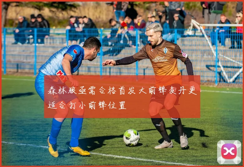 森林狼亟需合格首发大前锋麦丹更适合打小前锋位置